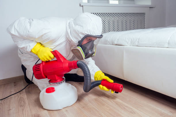 Best Bed Bug Extermination  in Monument Beach, MA